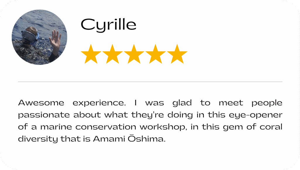 Review from Cyrille